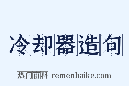 冷却器造句是什么意思的图片